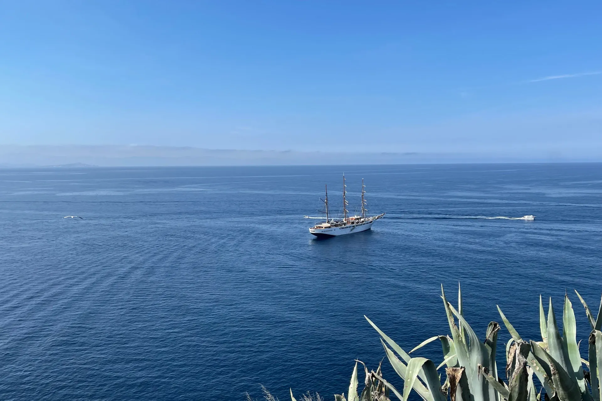 Schiff vor Bonifacio