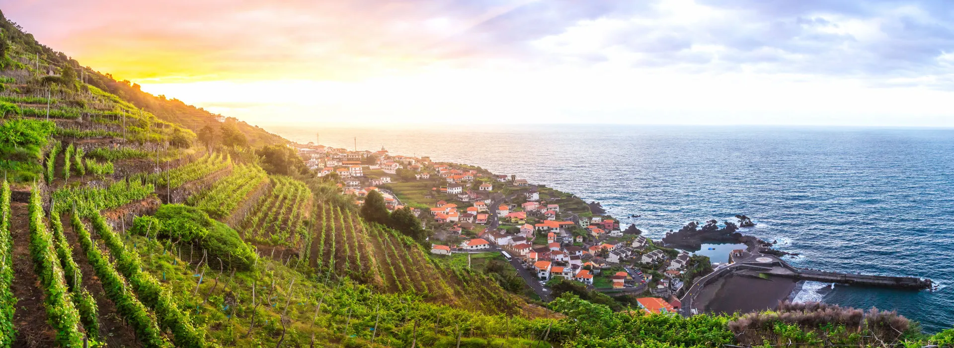 Weinberge Weinberge bei Seixal auf Madeira