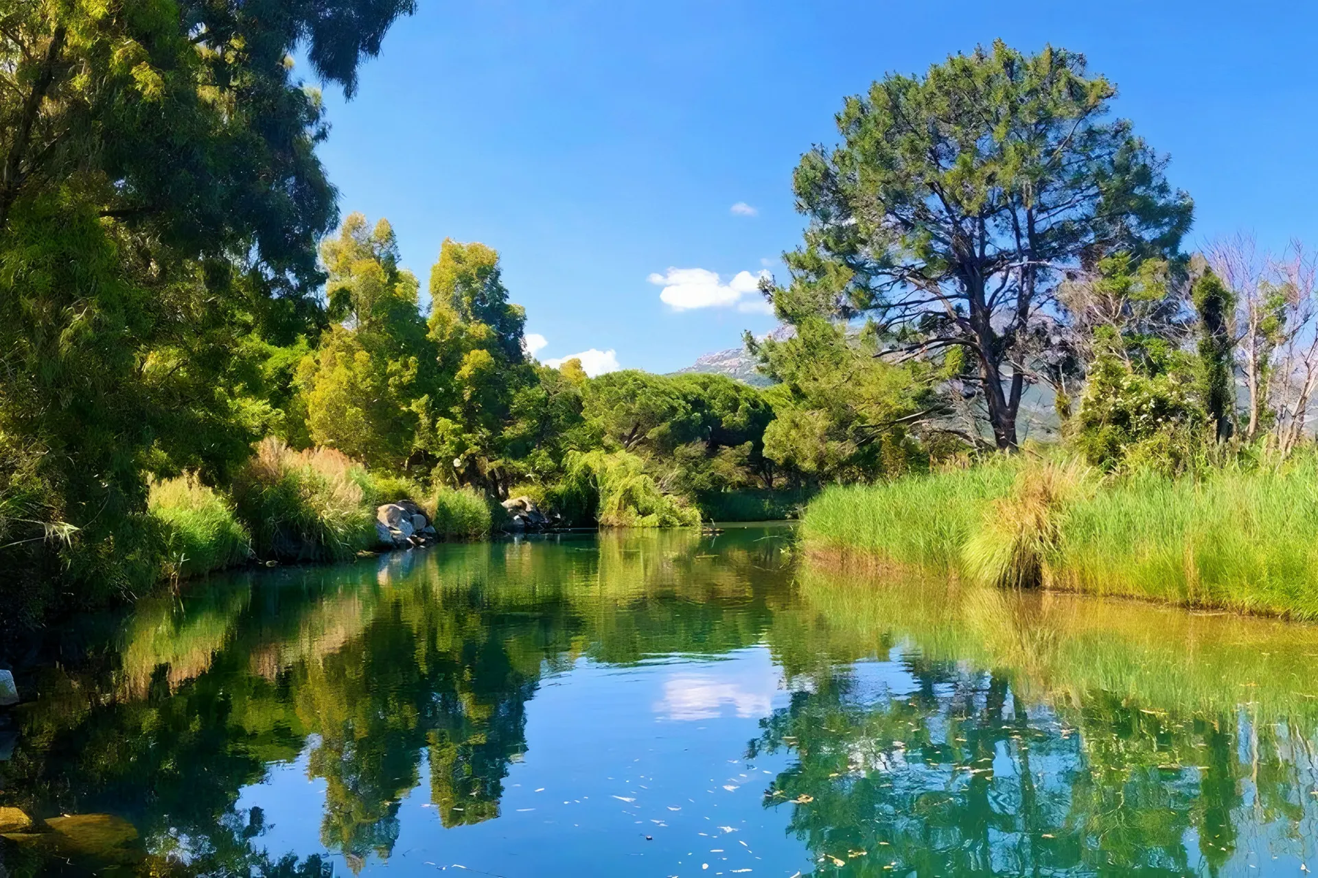 Camping  Bungalows Dolce Vita