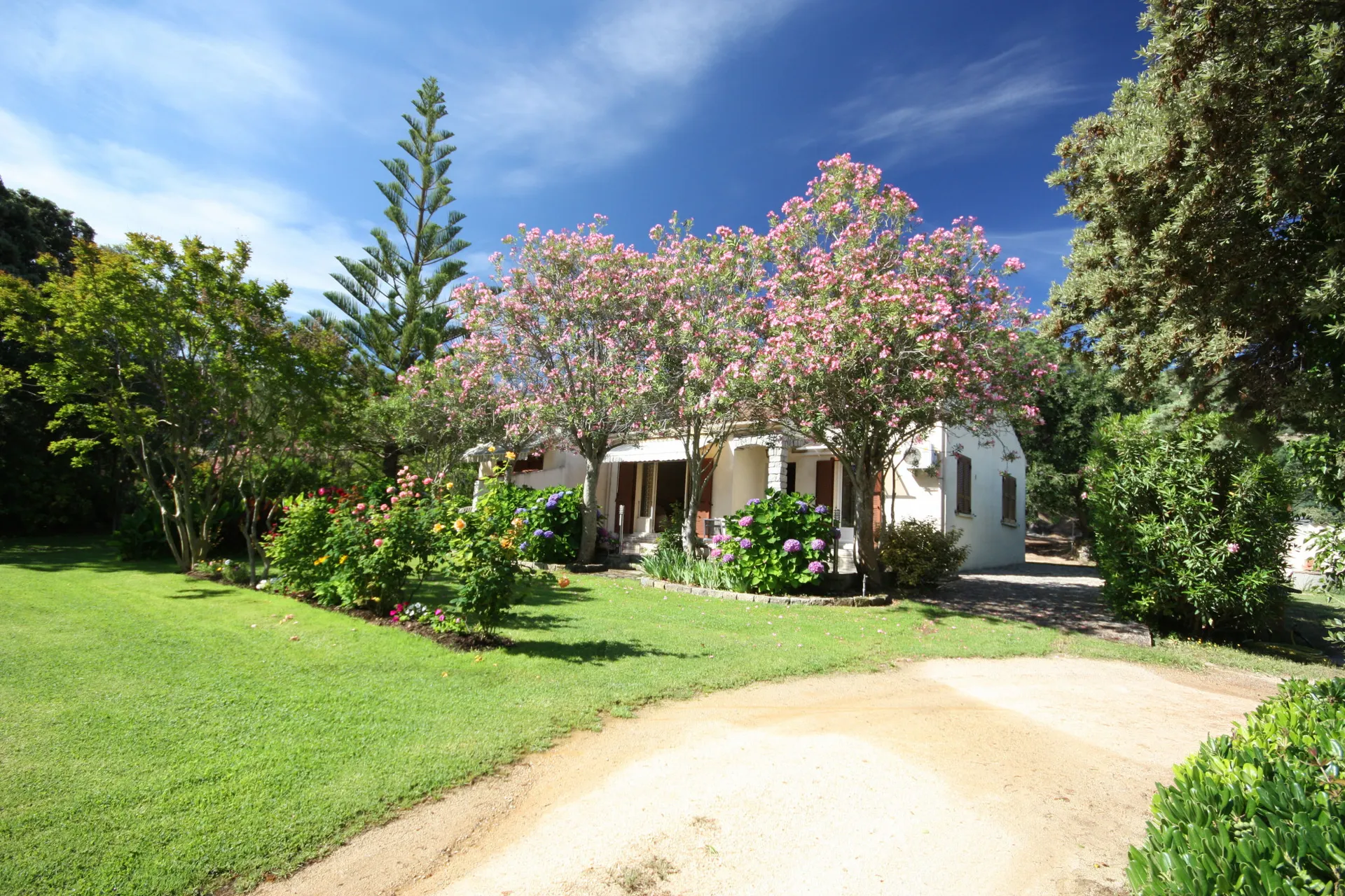 Ferienwohnung Casa Oleanda - Villa Lila