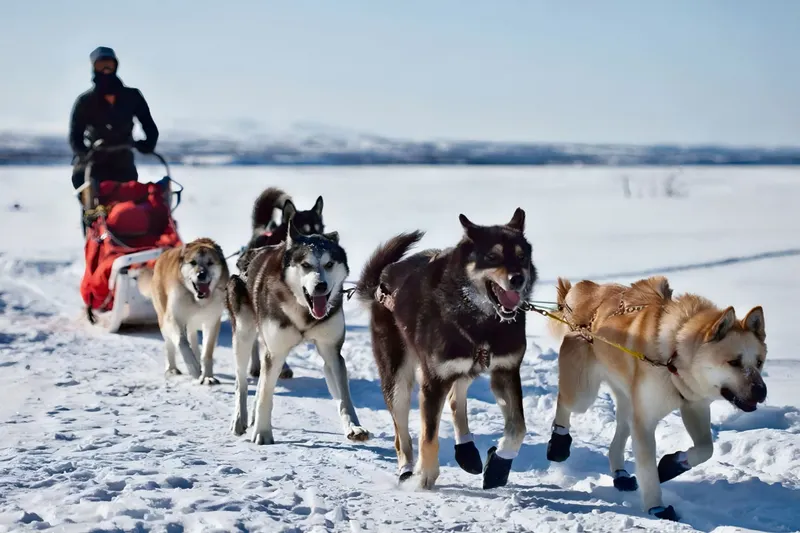 Erlebnisreise Winterzauber in Finnland Hotel Levi Spa