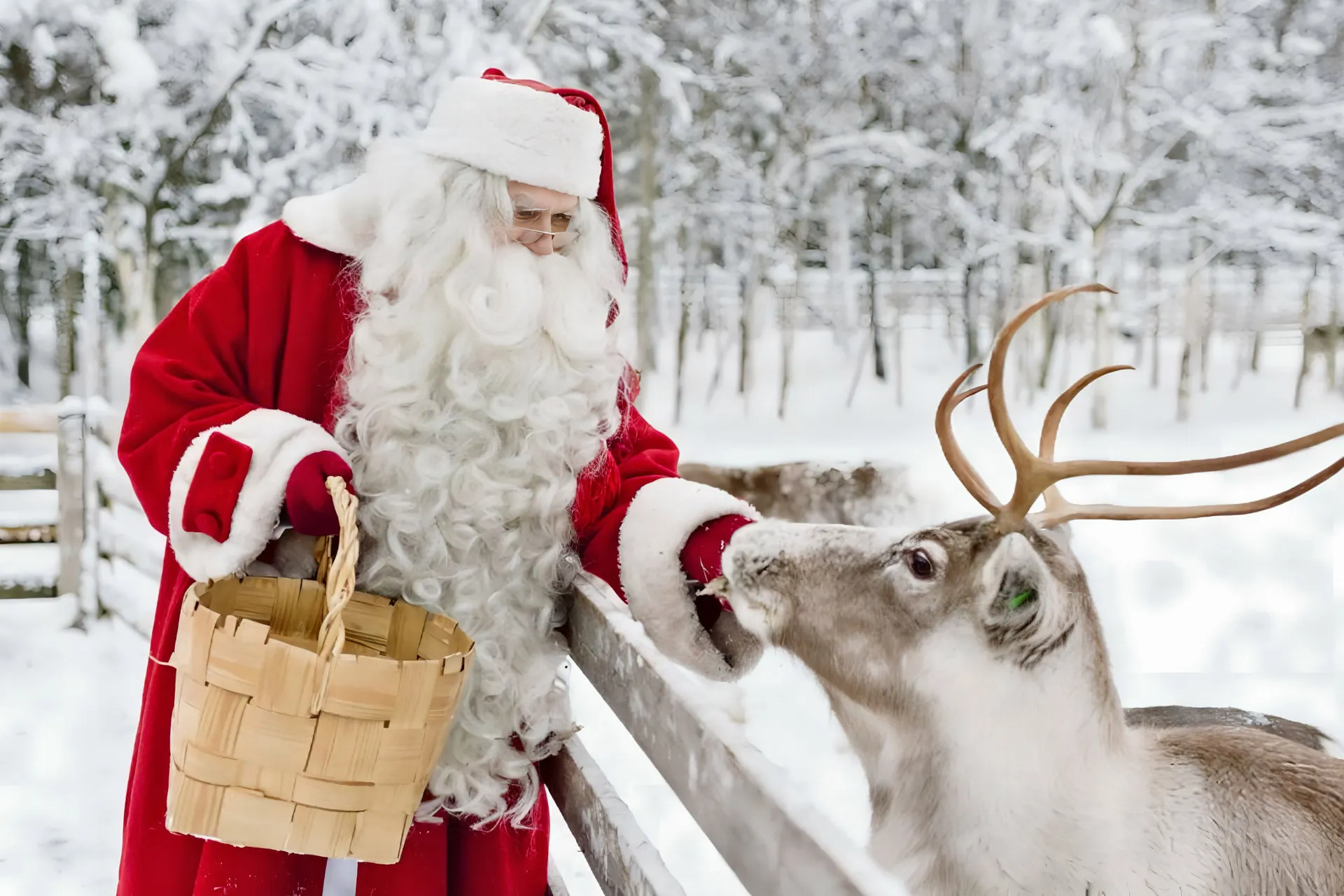 Erlebnisreise Winterzauber in Finnland Hotel Levi Spa