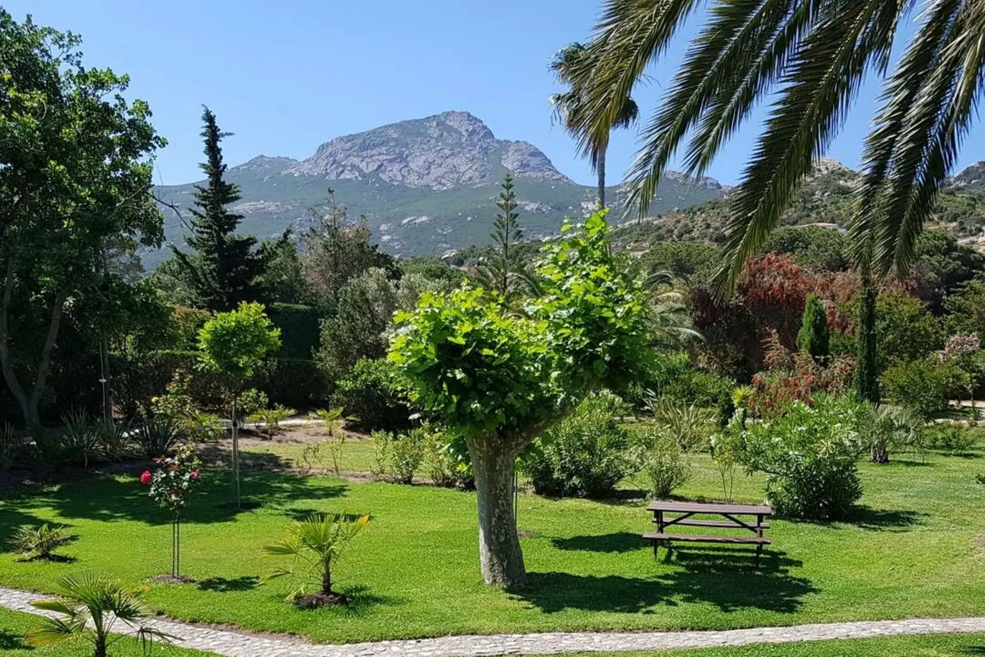 Ferienwohnung Casa Oleanda - Studio Acacia