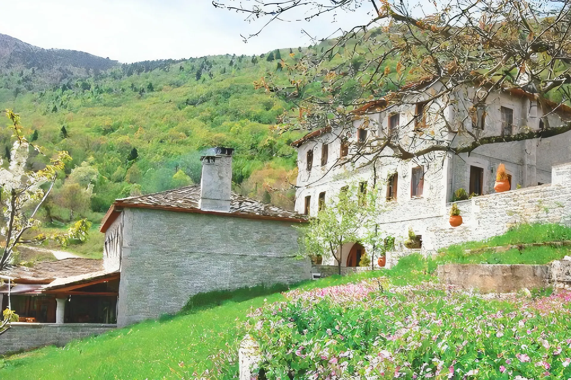 Hotel Driofyllo