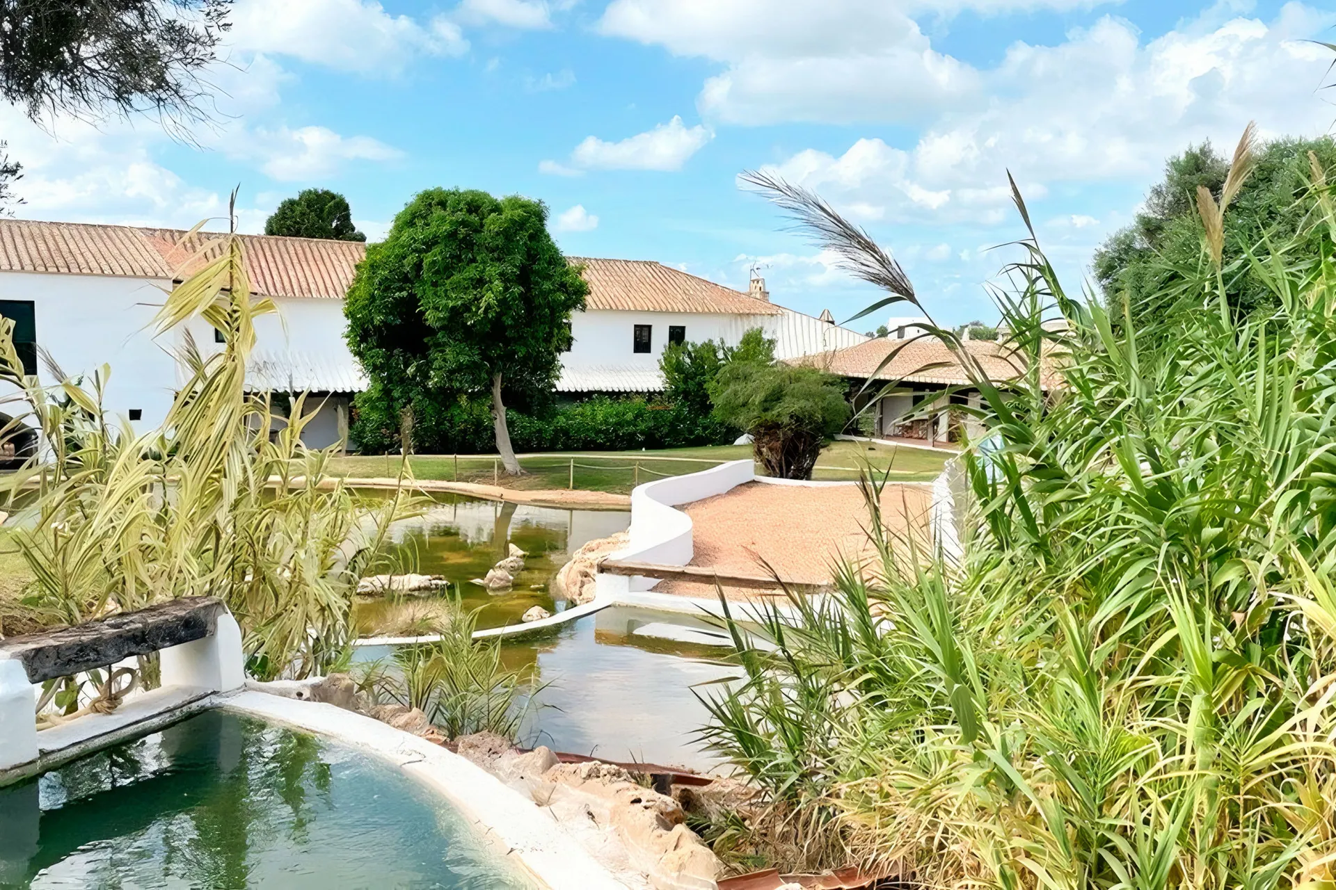 Appartments Binivell Park