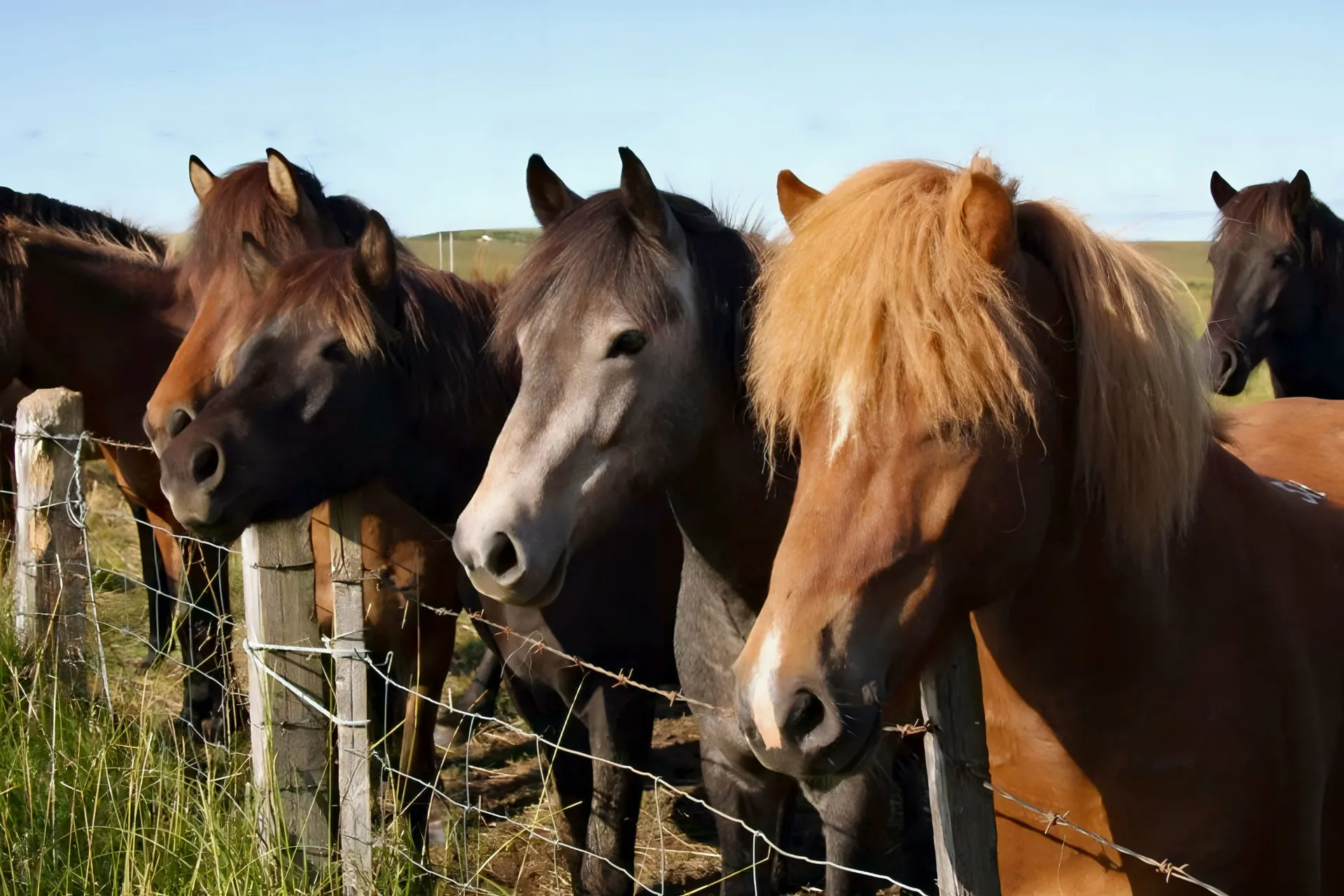 Rundreise Ferienhausrundreise