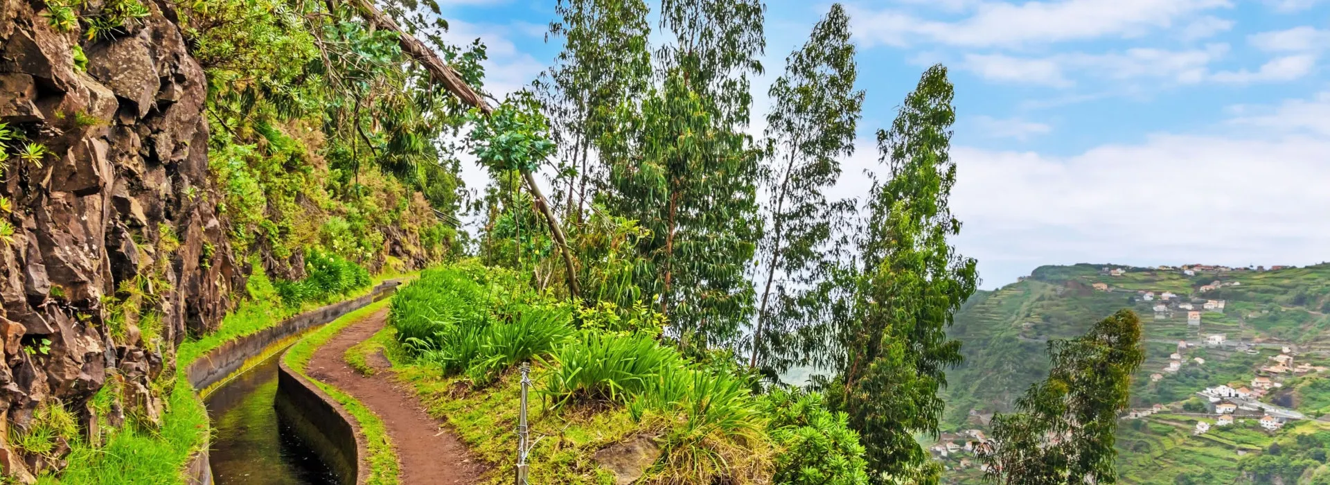 Levada auf Madeira