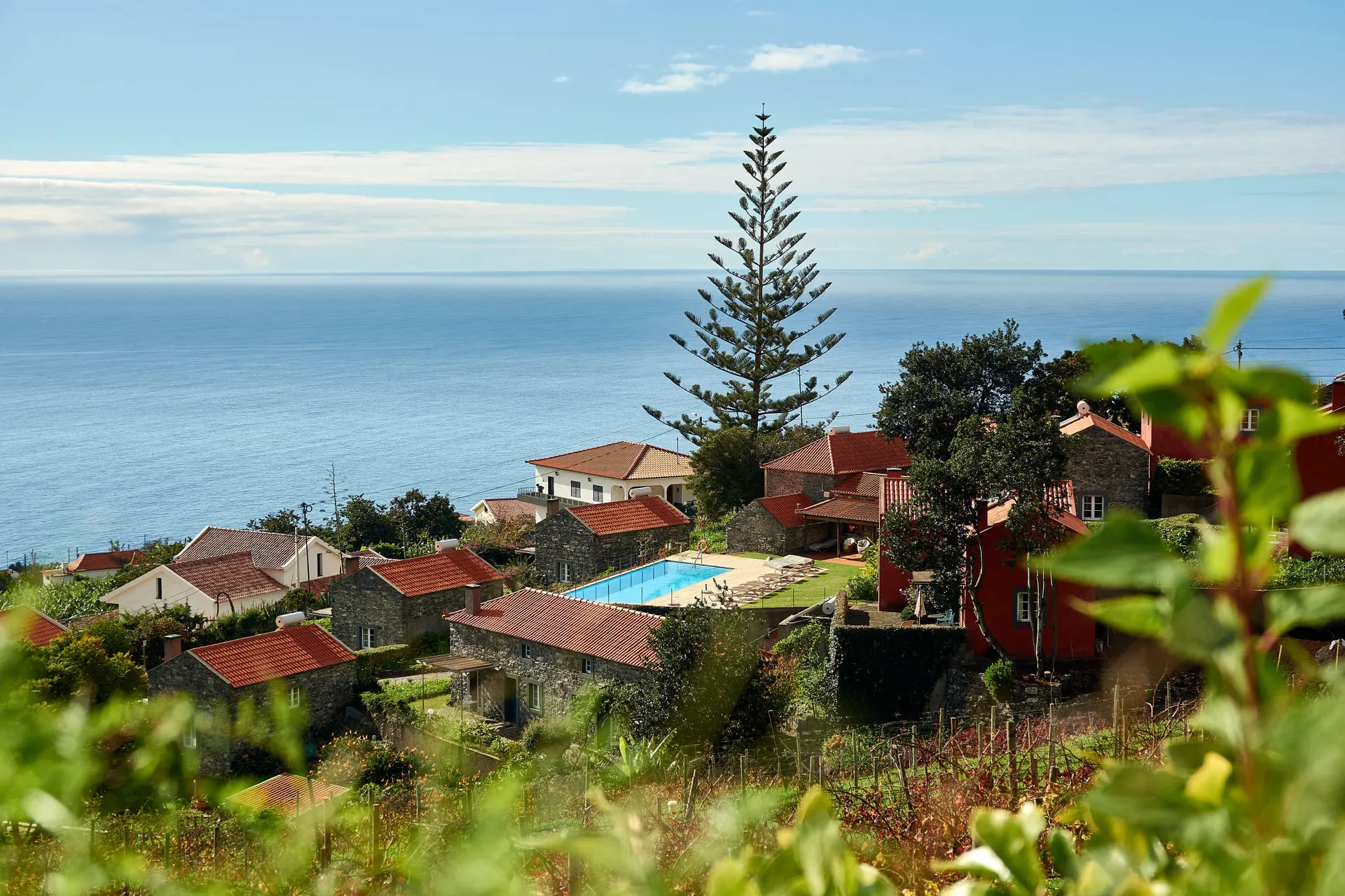 Quinta das Vinhas