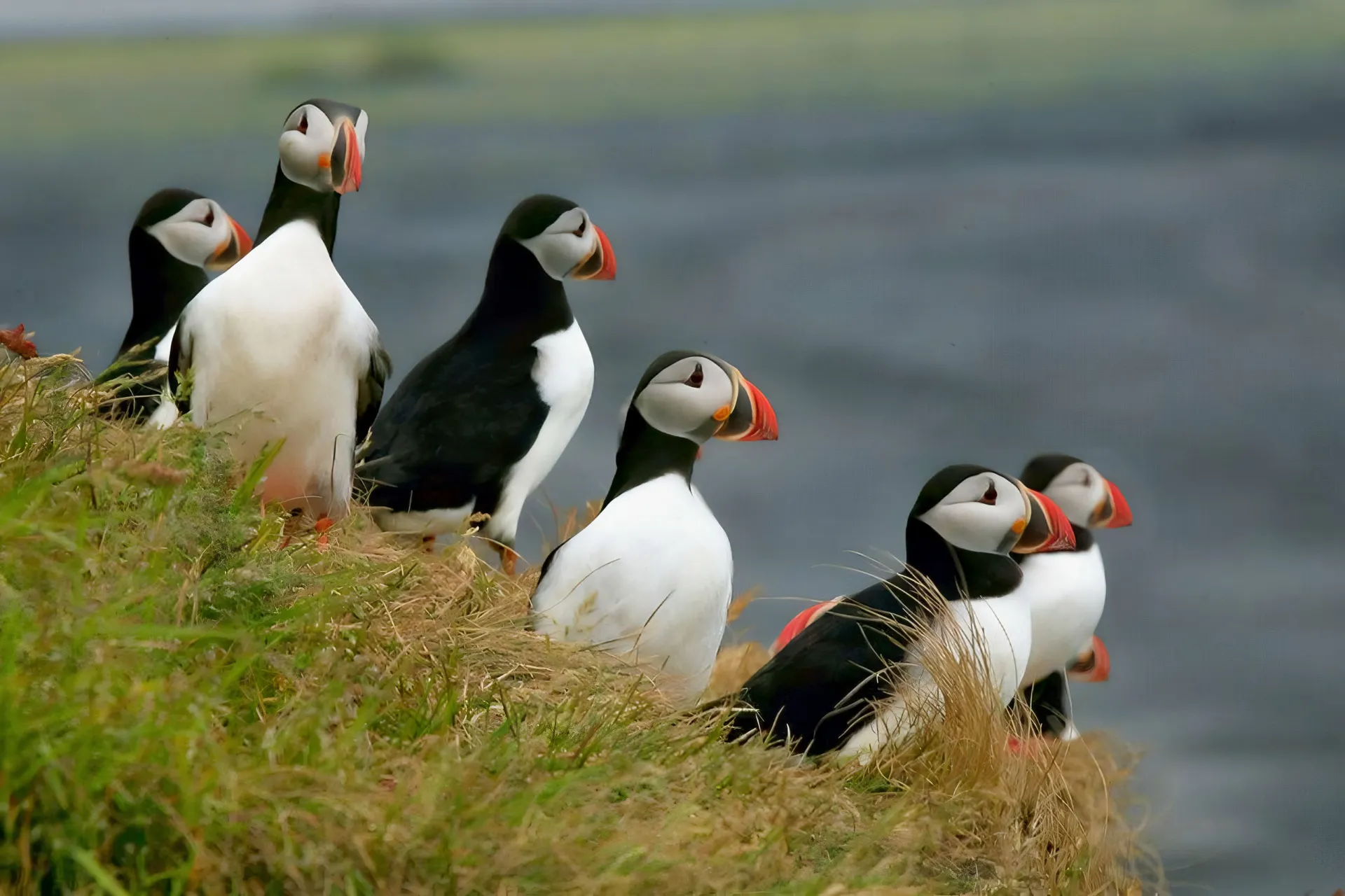Geführte Rundreise Glanzlichter des Nordens