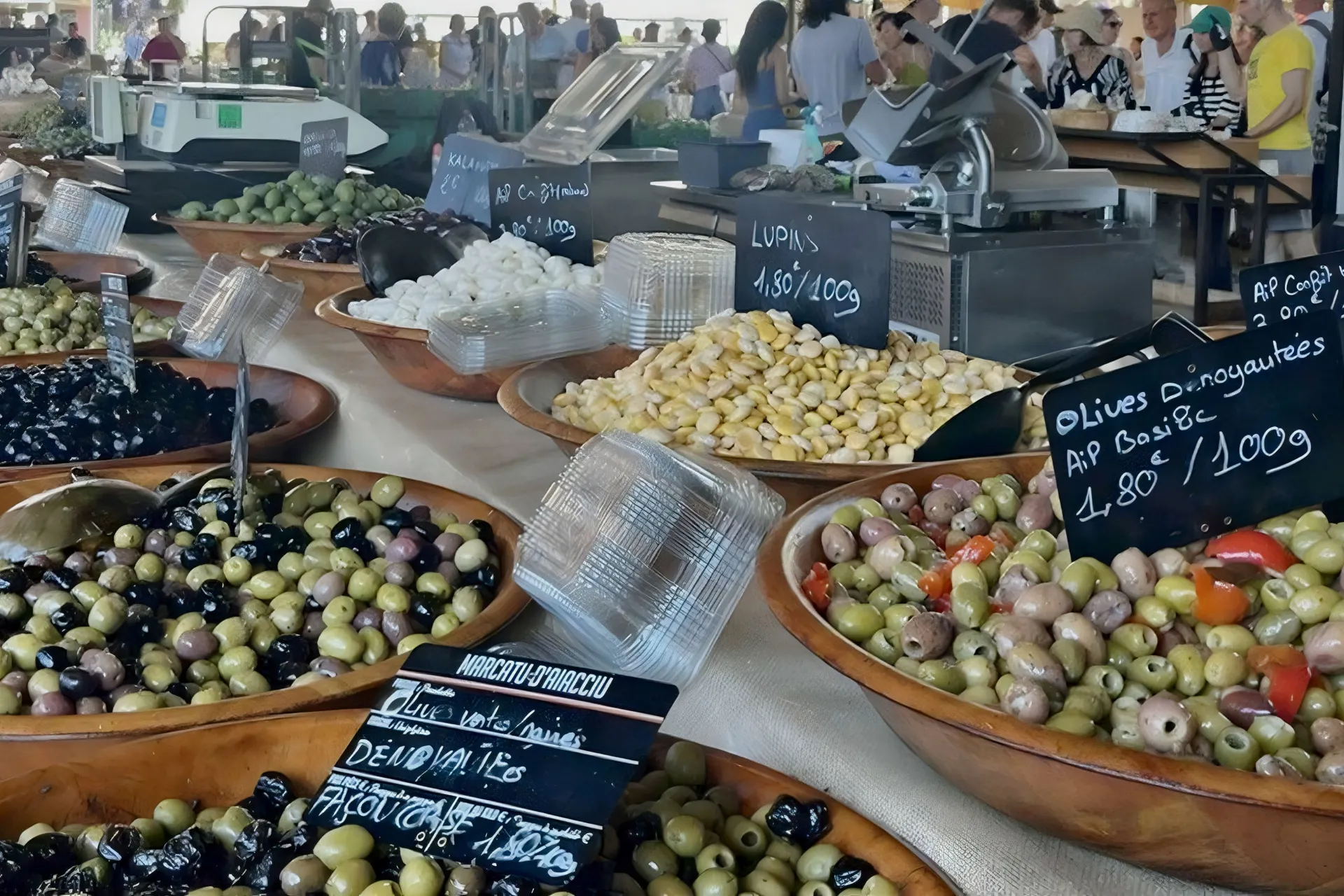 Busrundreise Grand Tour de Corse #OTDS