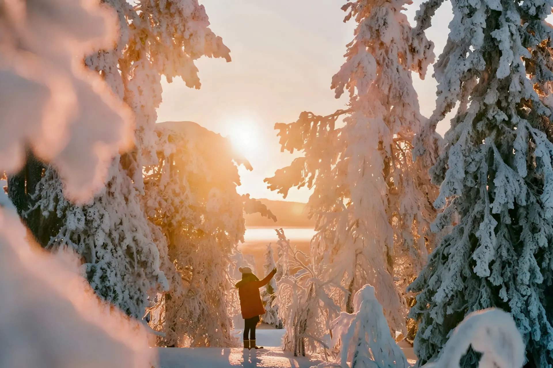 Erlebnisreise "Polarträume & Schneeabenteuer"