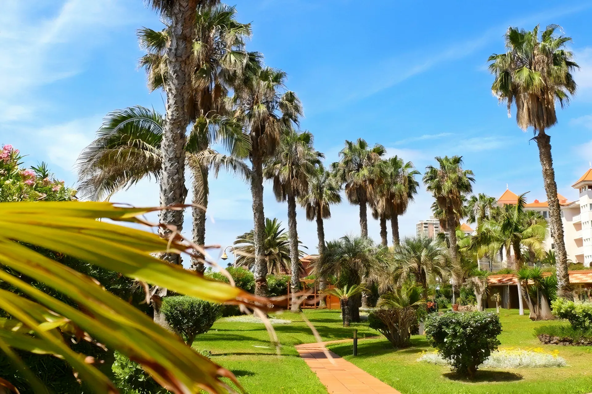 Hotel The Views Oasis