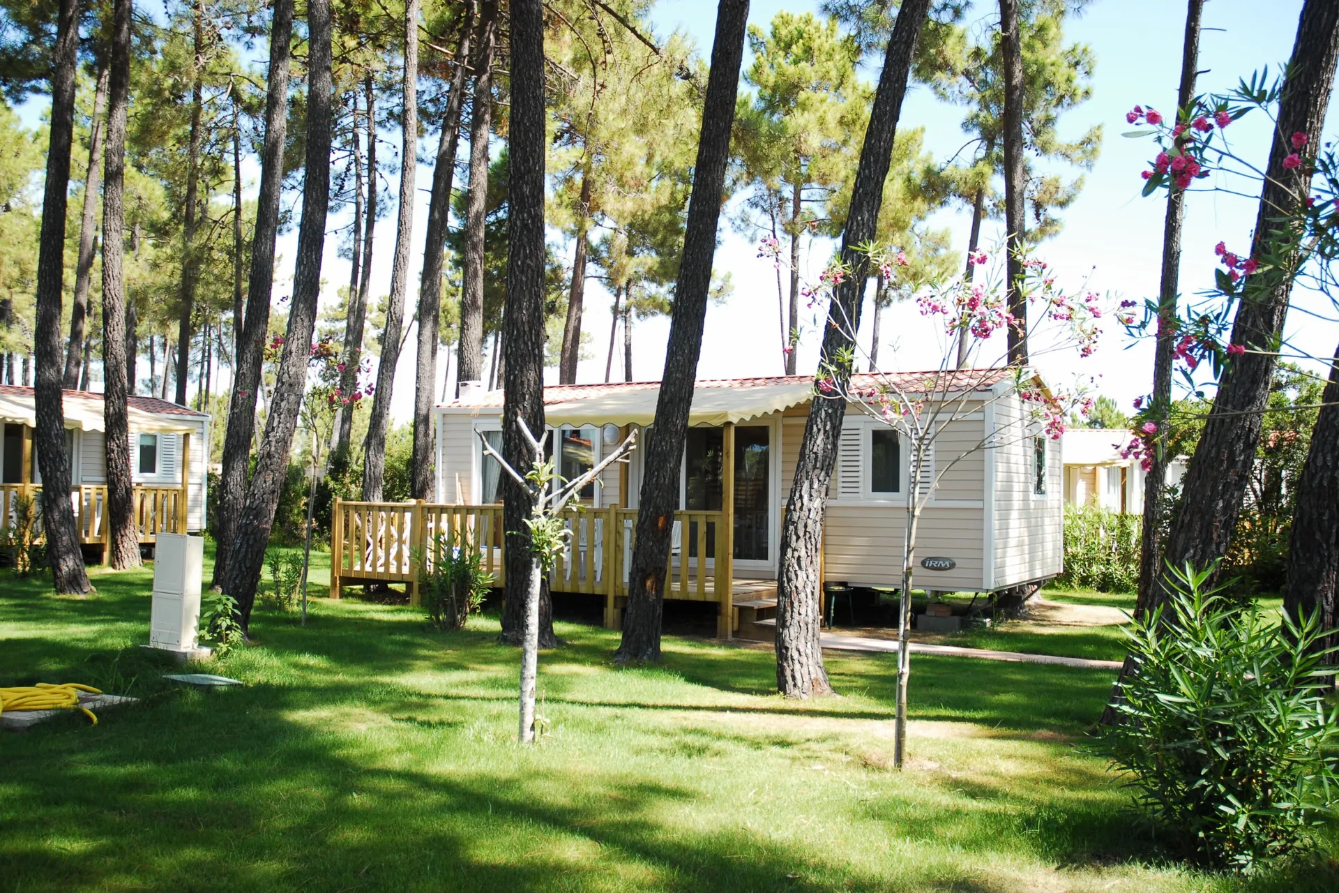 Feriendorf Perla di Mare - Cottage Nepita