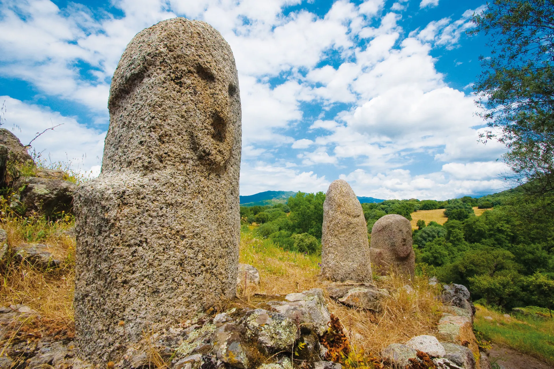 Menhire von Filitosa