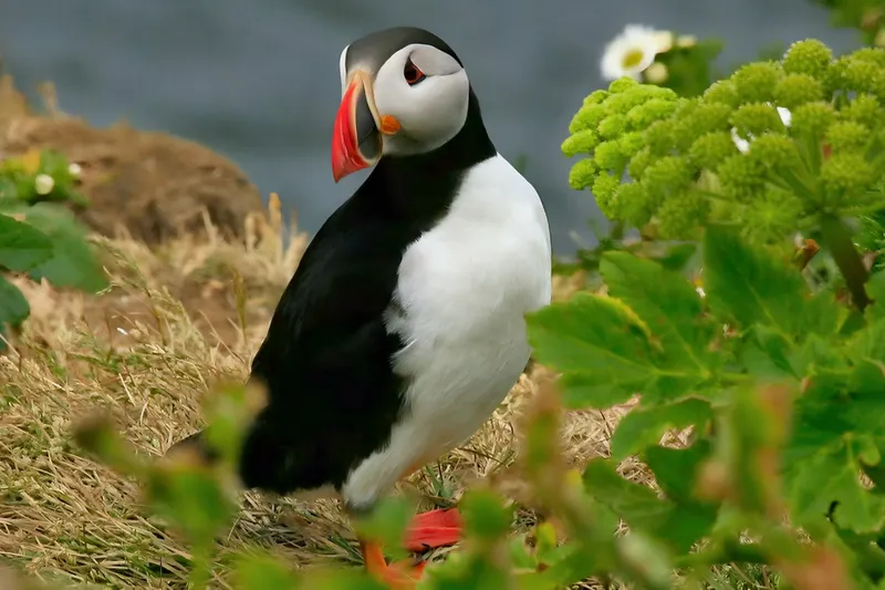 Rundreise "In 15 Tagen um die Welt"