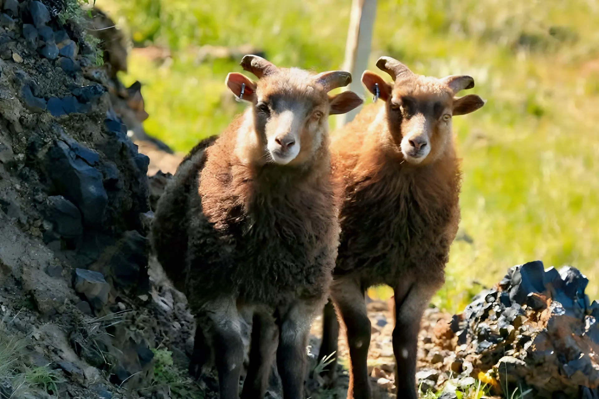 Rundreise Geheimnisse des Hochlands - Facetten des Ostens