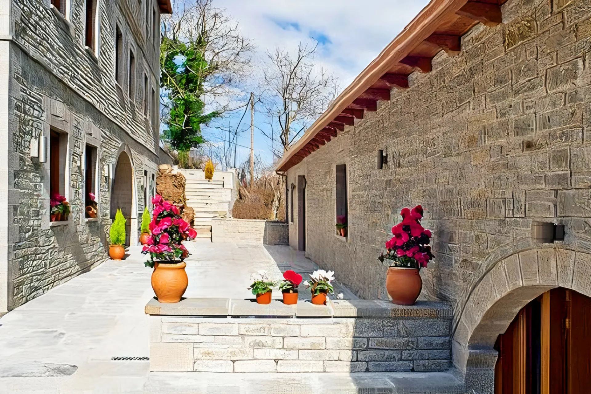 Hotel Driofyllo