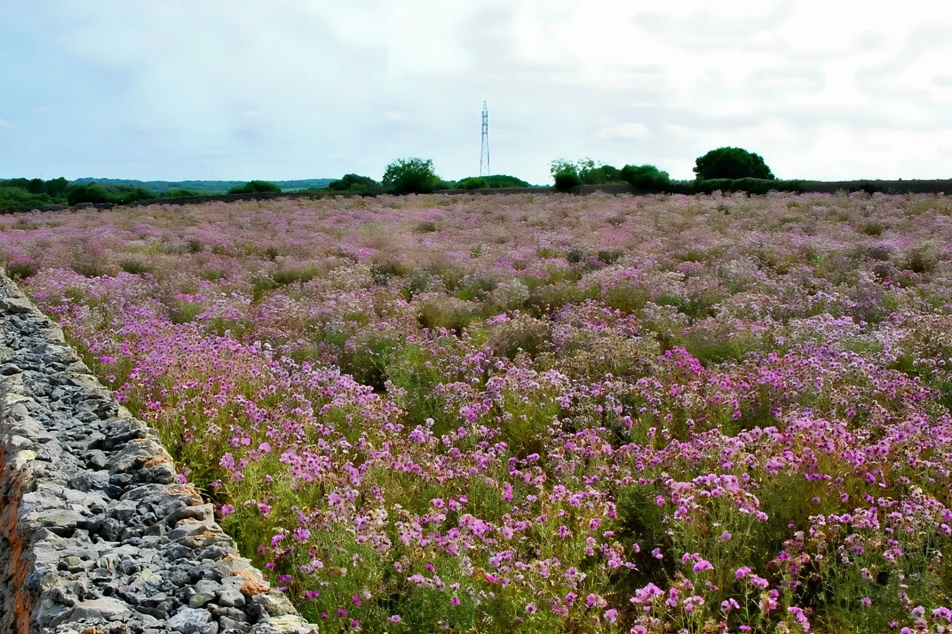 Individuelle Wanderreise Menorca